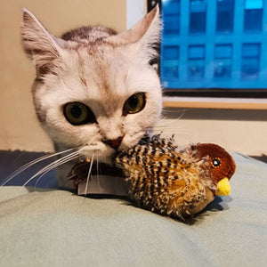 Jouet pour chat - Oiseau gazouillant simulé