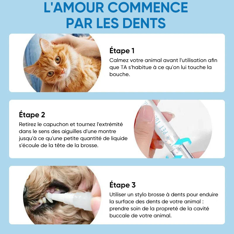 Nouveau stylo brosse à dents pour animaux de compagnie