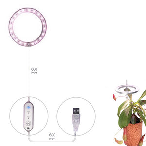 Lampes de culture pour plantes indooe