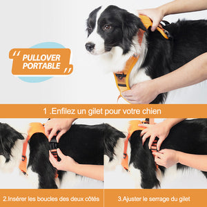 Harnais et laisse rétractable tout-en-un pour chien（130cm）