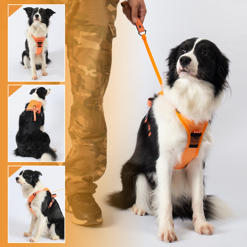 Harnais et laisse rétractable tout-en-un pour chien（130cm）