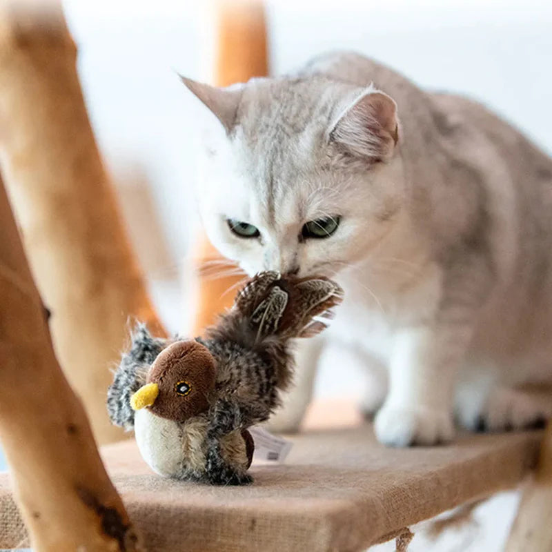 Jouet pour chat - Oiseau gazouillant simulé