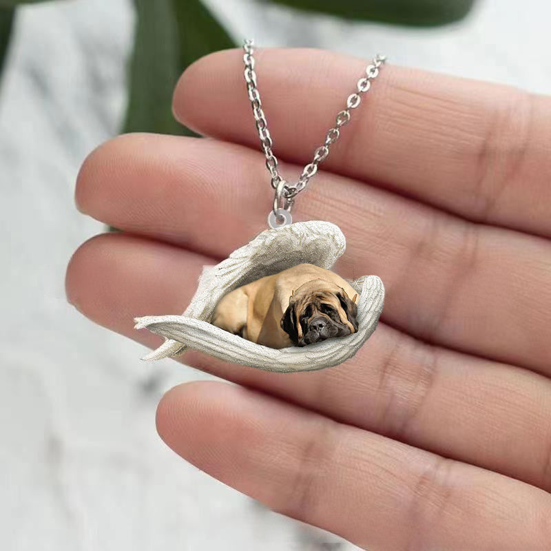 Collier de chien endormi