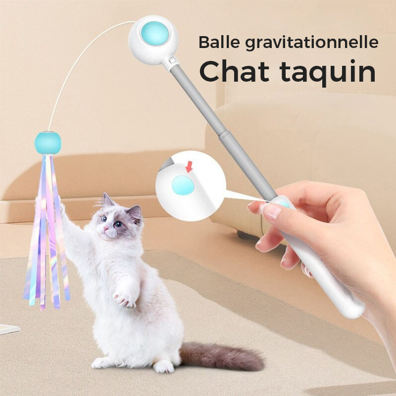 Bâton de Taquin Laser Télescopique pour Animaux de Compagnie