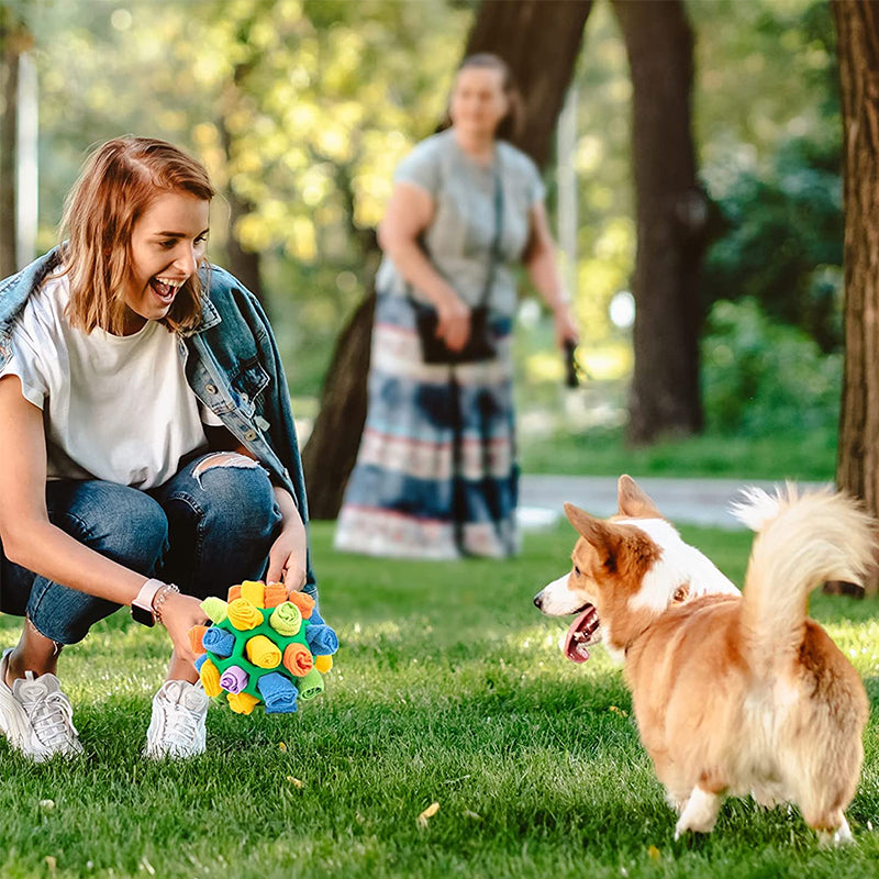 Jouet à mâcher pour chien