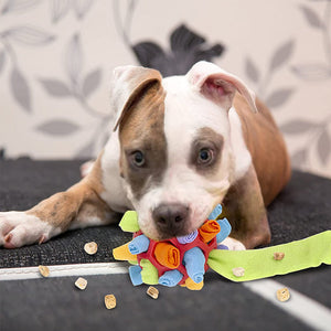 Jouet à mâcher pour chien