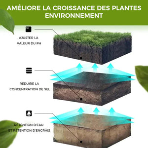 Solution d'activation du sol