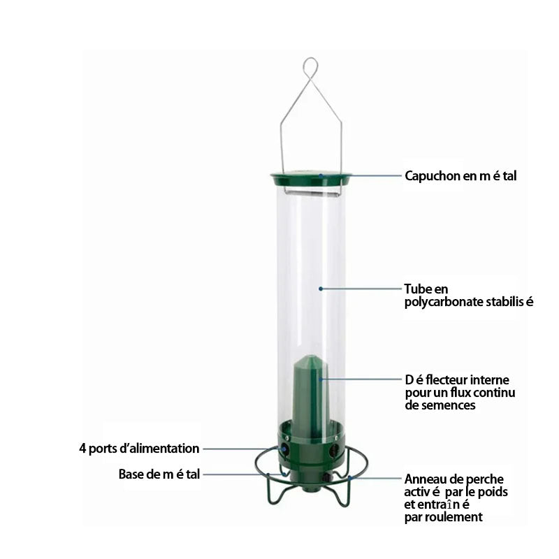 🐦Mangeoire à oiseaux anti-écureuil