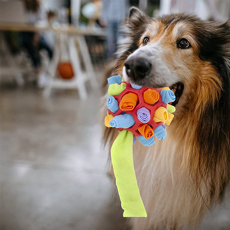 Jouet à mâcher pour chien