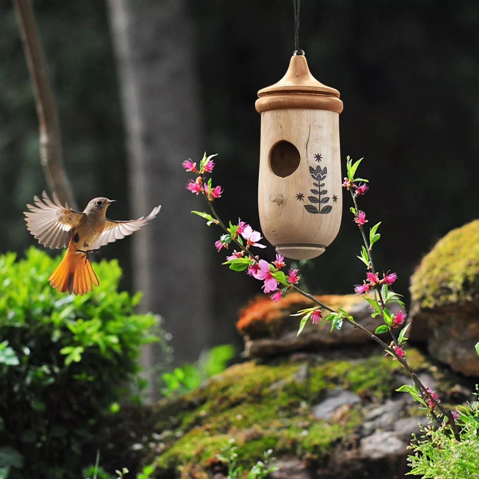 Maison de colibri en bois