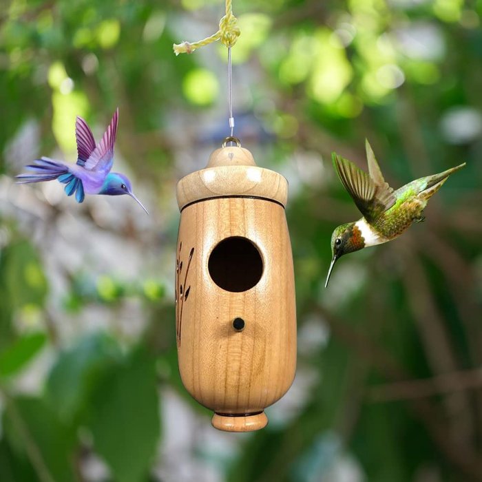 Maison de colibri en bois