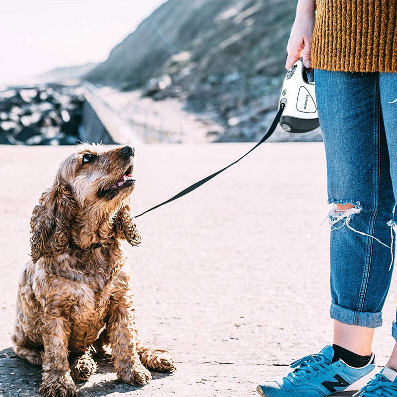 LED Laisse pour Animaux de Compagnie Rétractable - ciaovie