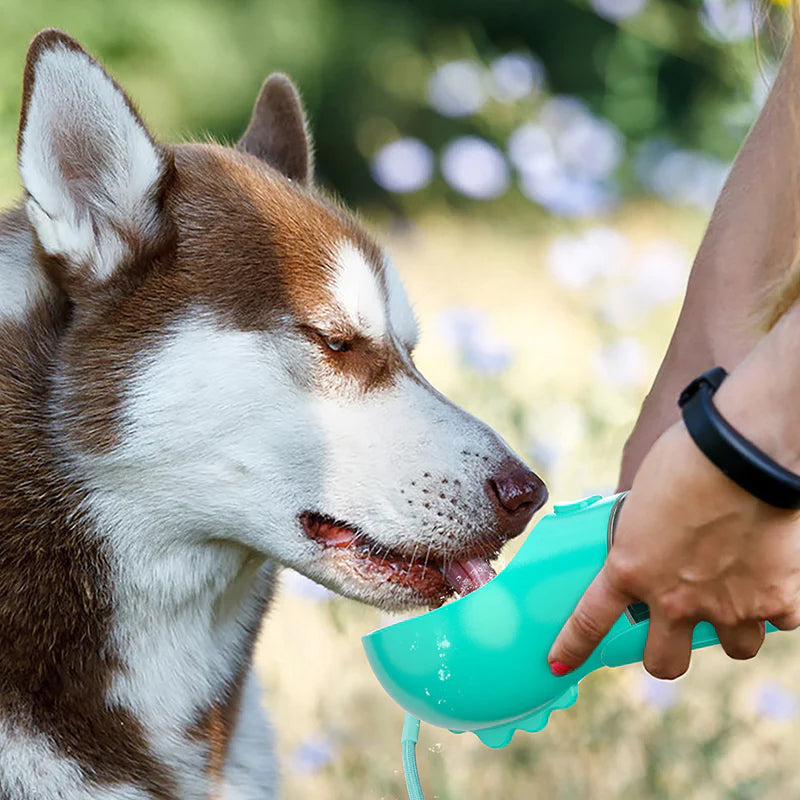 Biberon multifonctionnel pour chien 4 en 1