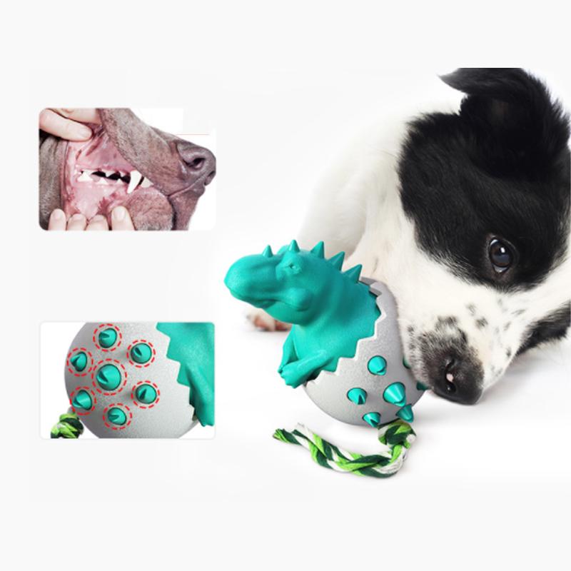 Jouets Des œufs De Dinosaures à Mâcher Pour Chiens