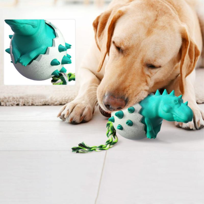 Jouets Des œufs De Dinosaures à Mâcher Pour Chiens