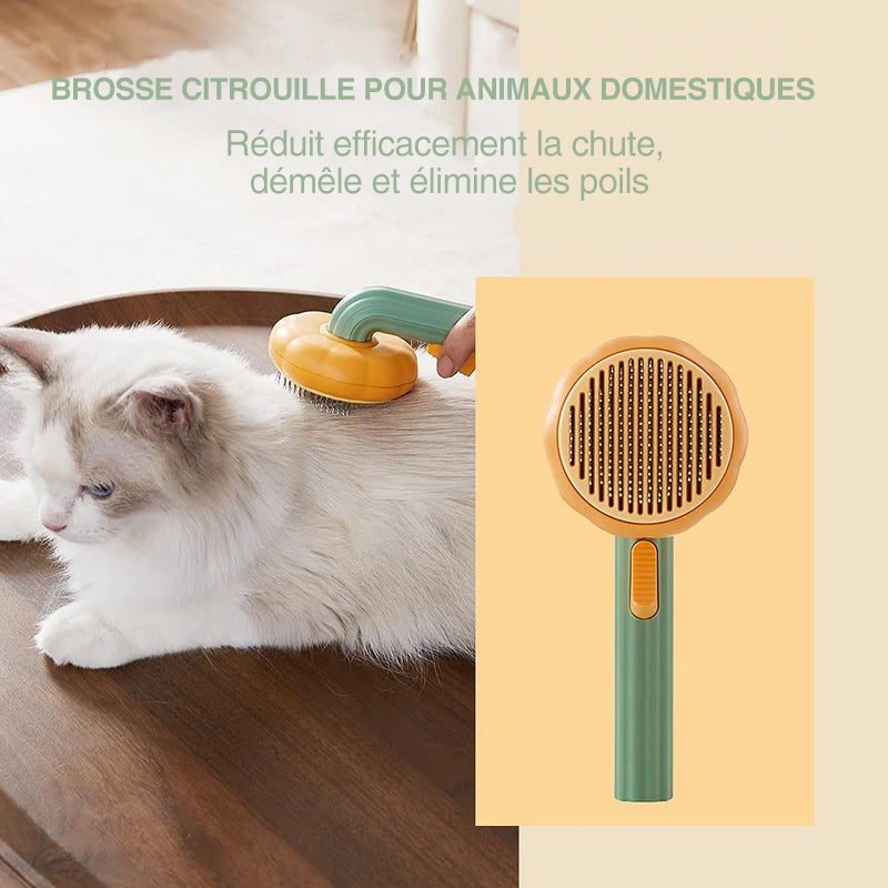 Brosse à Peigner Citrouille pour Animaux de Compagnie