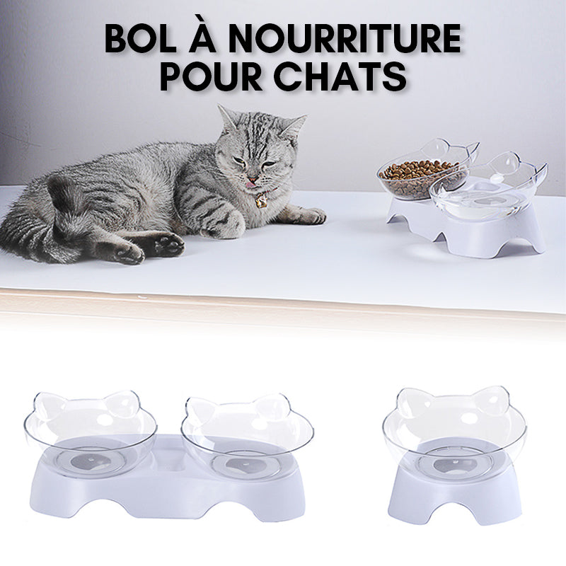 Bol à Nourriture pour Chats - ciaovie