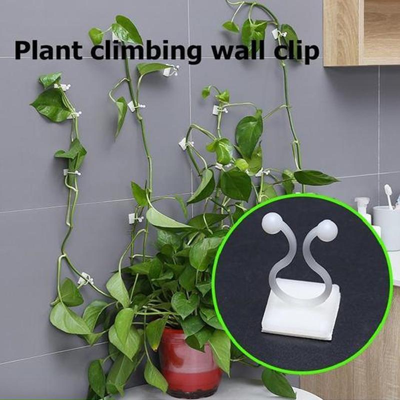 Clip Mural pour Plantes Grimpantes (30 pièces)