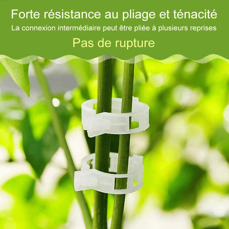 Clips de support pour plantes