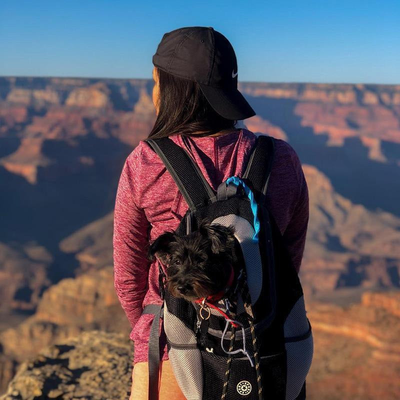 Sac Á Dos Pour Chiens / Chats