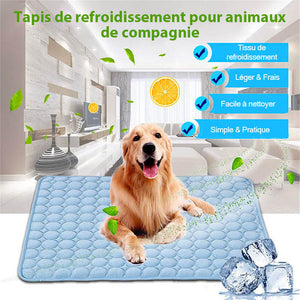 Tapis de Refroidissement Pour Animaux de Compagnie