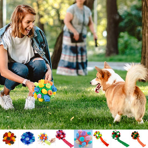 Jouet à mâcher pour chien