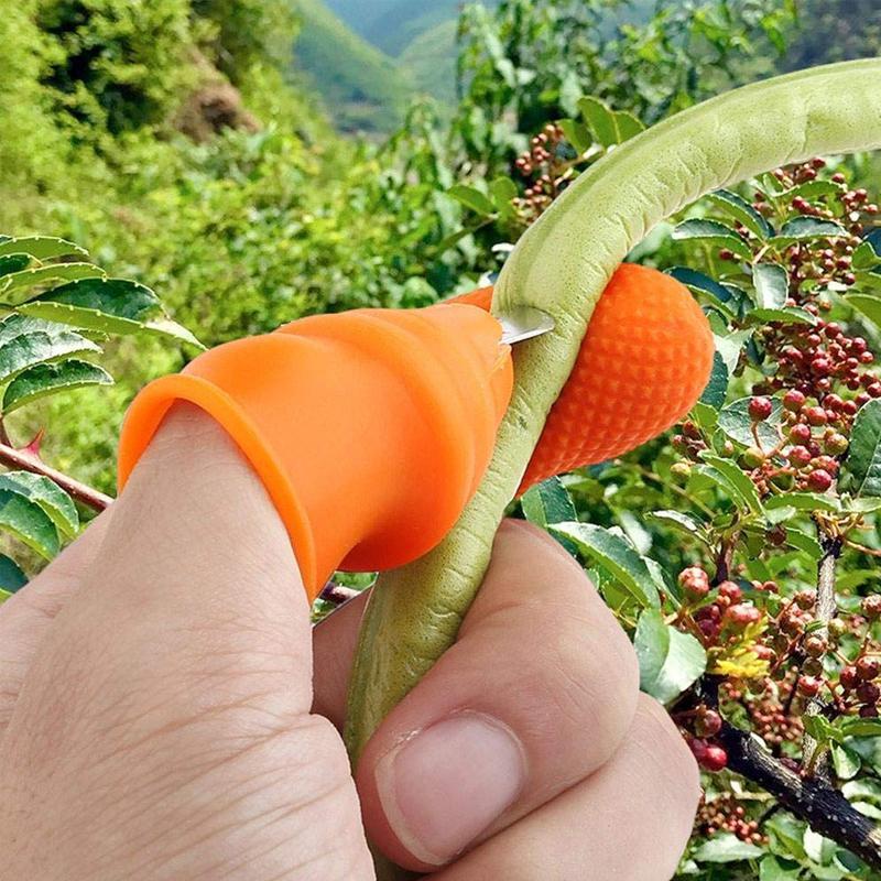 Couteau à Pouce pour Cueillir Légumes et Fruits - ciaovie