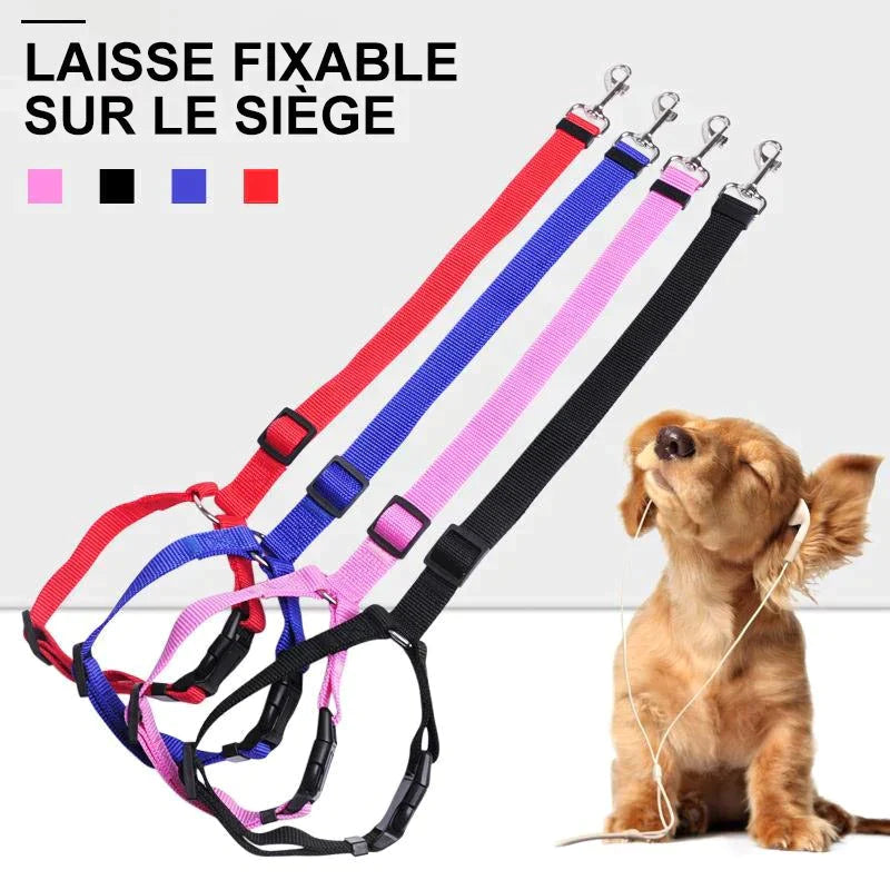 🐾Laisse Réglable pour Chien Fixable sur le Siège Auto