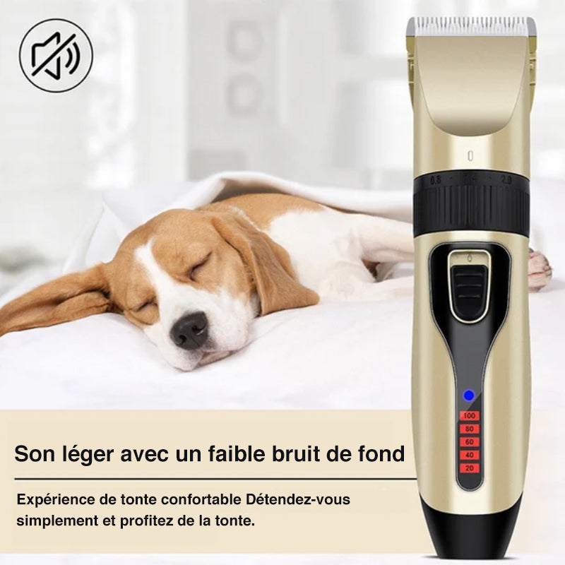 Kit de tondeuse professionnelle pour animaux de compagnie