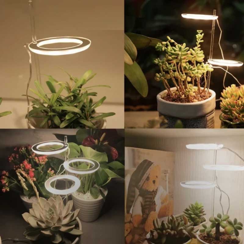 Lampes de culture pour plantes indooe