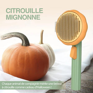 Brosse à Peigner Citrouille pour Animaux de Compagnie