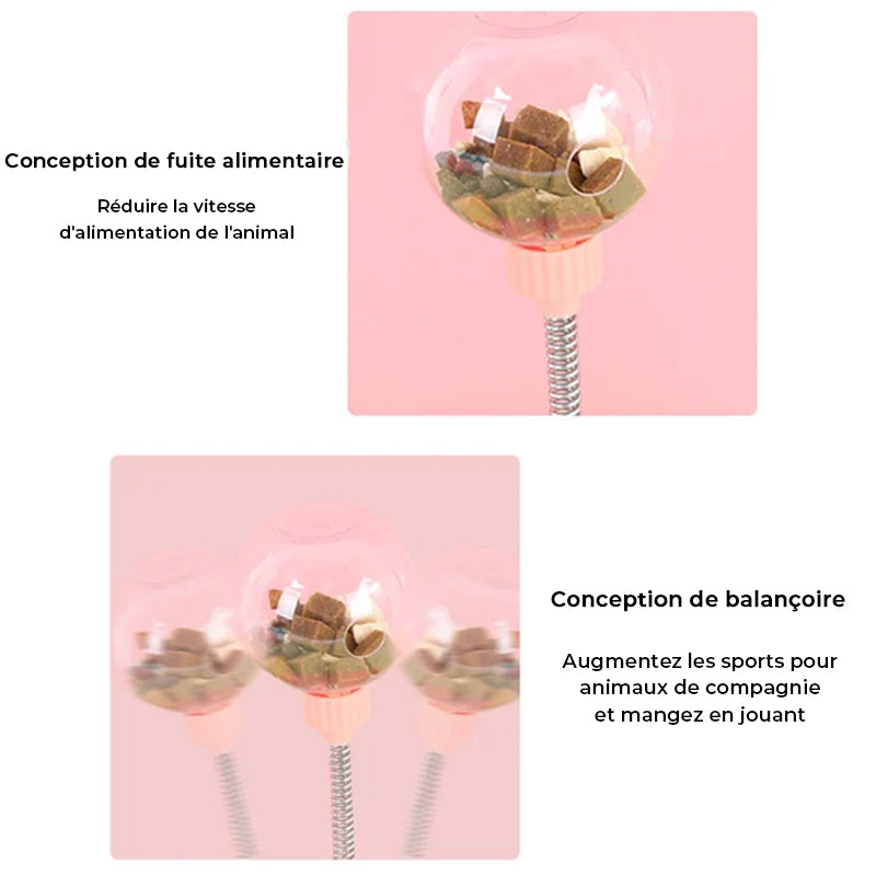 Jouet de mangeoire pour animaux de compagnie qui fuit des friandises