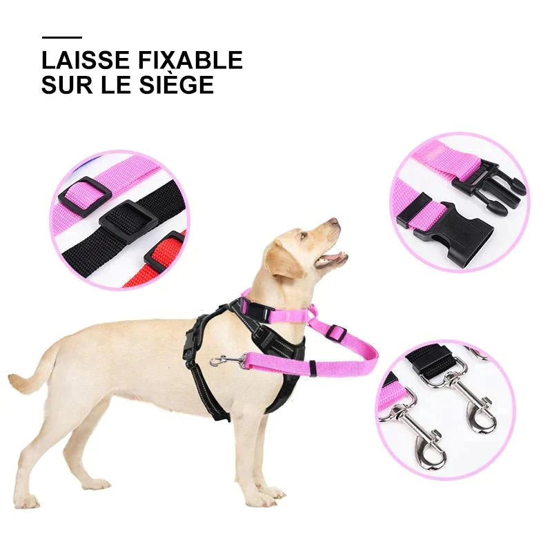 🐾Laisse Réglable pour Chien Fixable sur le Siège Auto