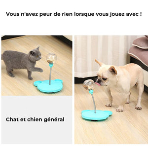 Jouet de mangeoire pour animaux de compagnie qui fuit des friandises