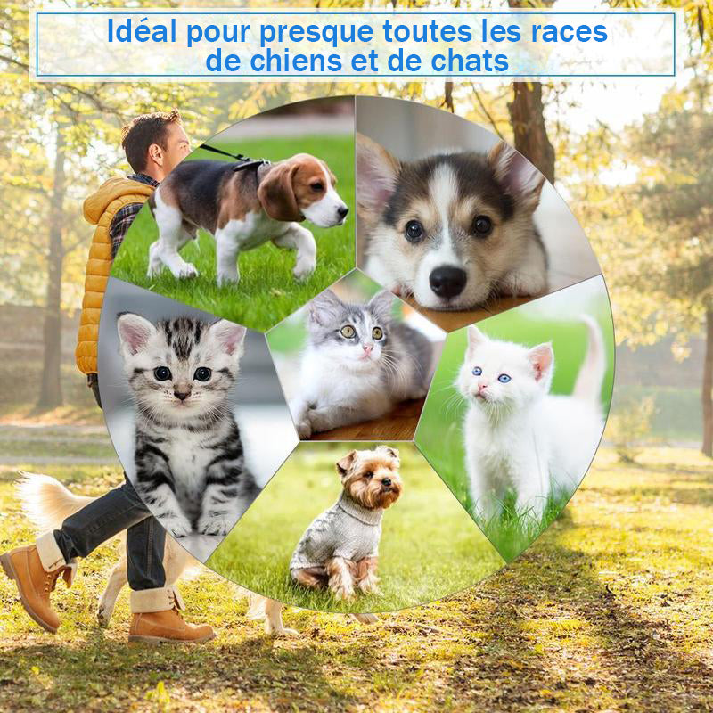 Ciaovie Peigne de Toilettage Electrique pour Animaux - ciaovie