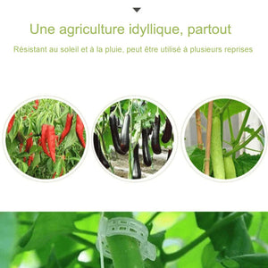 Clips de support pour plantes