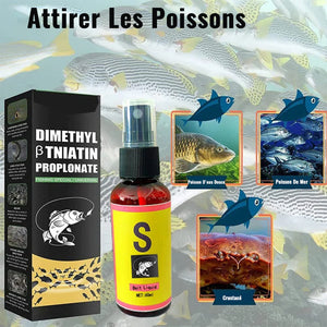 Attractifs pour poissons parfumés pour appâts