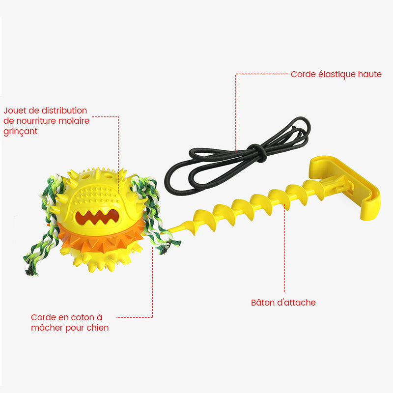 Jouet d'Entraînement Extérieur Boule de Corde pour Animaux de Compagnie