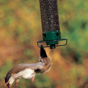 🐦Mangeoire à oiseaux anti-écureuil