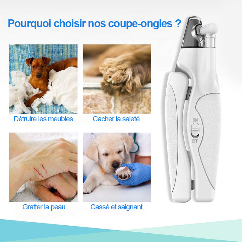 Coupe-ongles professionnel à LED pour animaux de compagnie