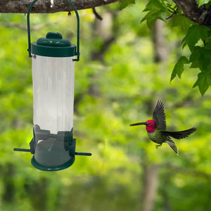 🐦Mangeoire à oiseaux anti-écureuil