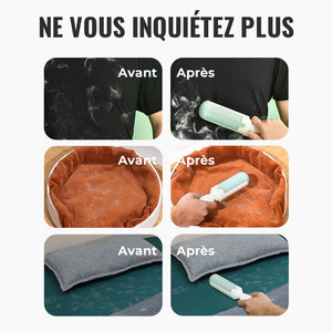 Brosse Adhésive pour Animaux Domestiques