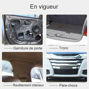 Clip de Panneau de Porte de Voiture