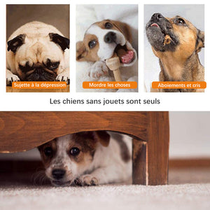 Jouet de Fuite de Ventouse de Chien