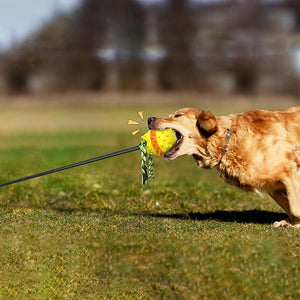 Jouet d'Entraînement Extérieur Boule de Corde pour Animaux de Compagnie