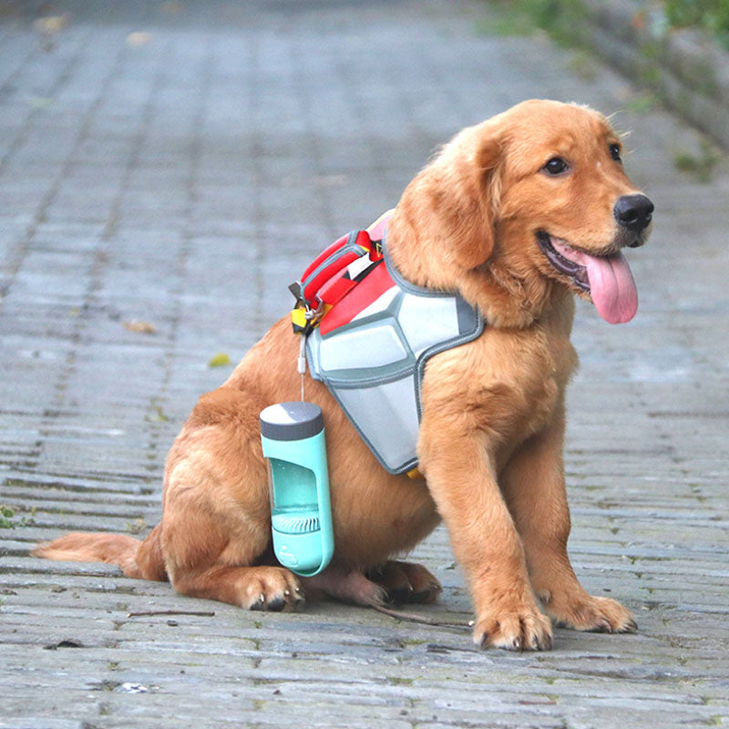 Tasse à Eau Rétractable pour Animaux de Compagnie