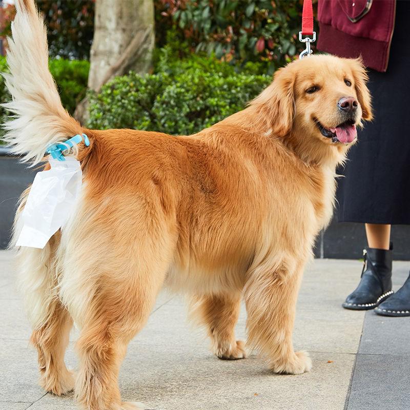 Collecteur De Crottes De Chien Avec Sac