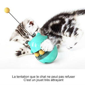 Mangeoire Interactive pour Chat Jouet pour Animal Domestique Multifonctionnel