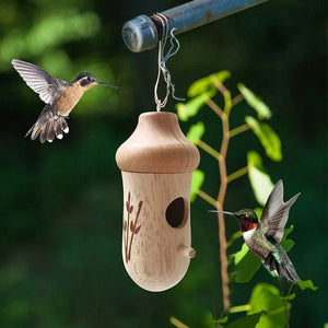 Maison de colibri en bois