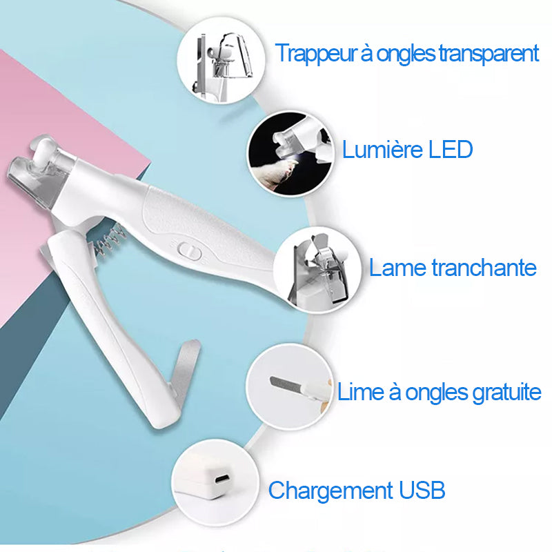 Coupe-ongles professionnel à LED pour animaux de compagnie